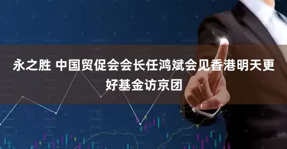 永之胜 中国贸促会会长任鸿斌会见香港明天更好基金访京团